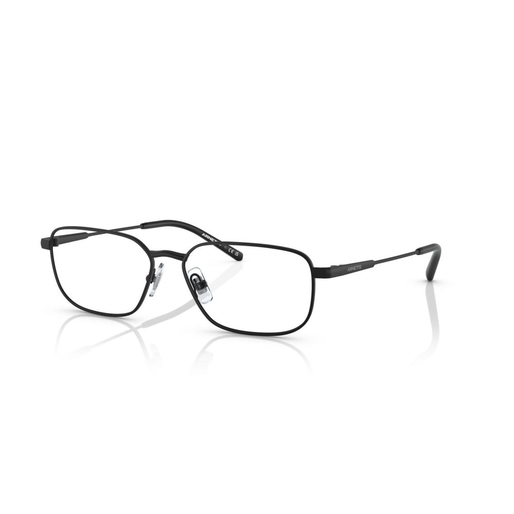 ARNETTE 6133/737/55