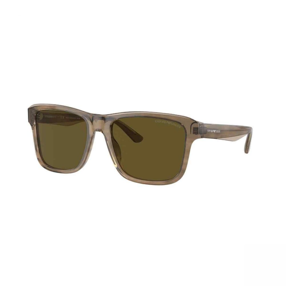 EMPORIO ARMANI 4208/605573/56
