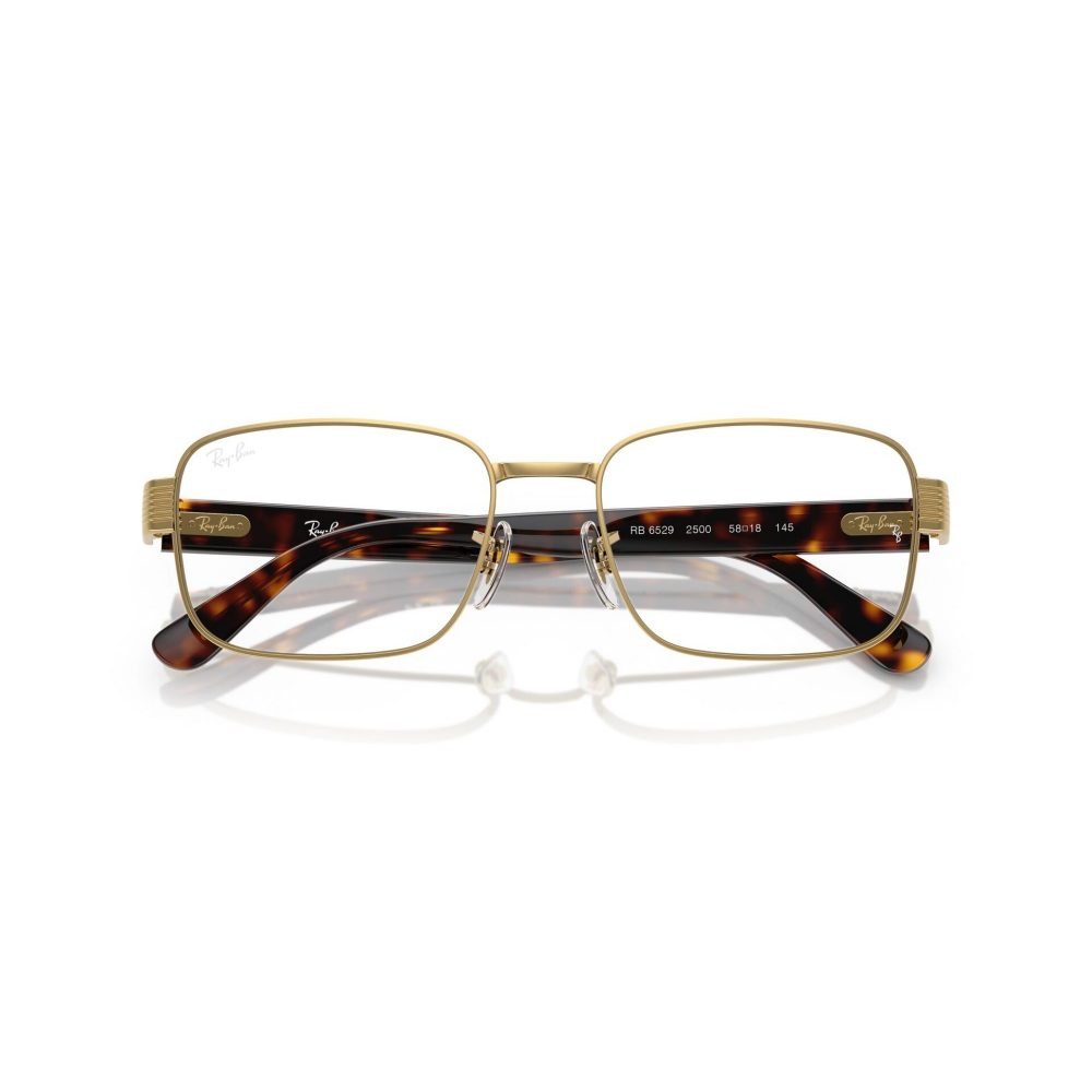 RAY-BAN 6529/2500/56