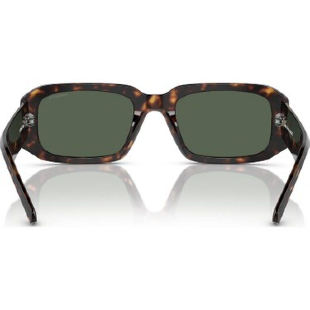 ARNETTE 4318/122271/53