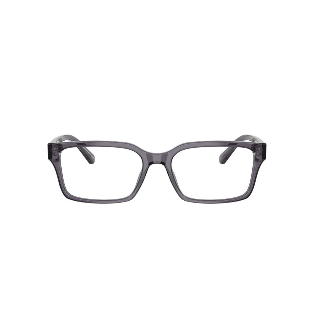 EMPORIO ARMANI 3244/6106/55
